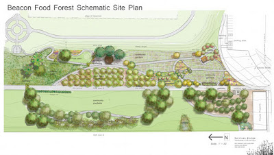 The ground plan for the beacon food forest is already afoot Beacon food forest